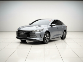 比亚迪 驱逐舰05 2023款 冠军版 DM-i 120KM 尊荣型