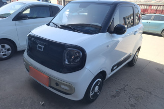 奔腾小马 2025款 222km 灵动马