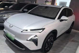 五菱汽车 五菱星光S 2024款 130km 领航型