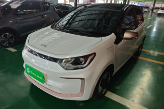 江淮钇为 钇为花仙子 2024款 挚爱版 301km Lite