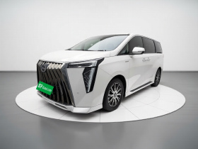 广汽传祺 传祺E9 2024款 E9 冠军版