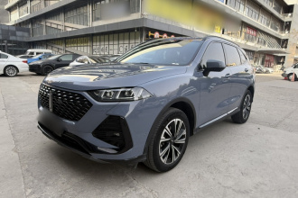 魏牌 拿铁DHT 2022款 1.5T DHT超大杯