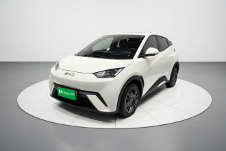 比亚迪 海鸥 2024款 荣耀版 305km 活力版