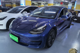 特斯拉 Model 3 2019款 标准续航后驱升级版