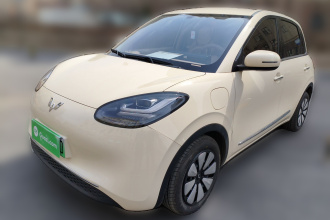 五菱汽车 五菱缤果 2025款 333km 灵犀尊享款