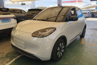 五菱汽车 五菱缤果 2023款 333km 悦享款