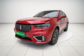 魏牌 VV5 2021款 1.5T 两驱颜先锋