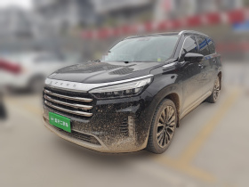 星途揽月 2021款 390T 四驱星耀版