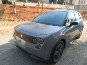 firefly萤火虫 2025款 发光版