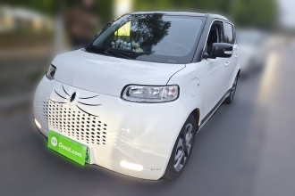 欧拉白猫 2020款 305km 豪华型