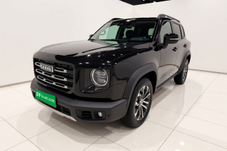 哈弗大狗 2021款 1.5T DCT两驱边牧-旺财版