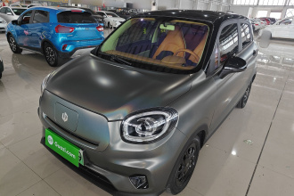 零跑汽车 零跑T03 2023款 310轻享版