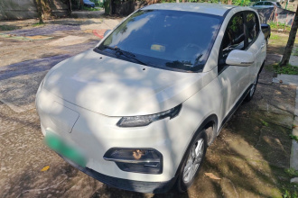 大运 悦虎 2022款 300 标准版