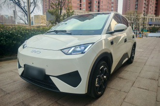 比亚迪 海鸥 2025款 智驾版 305km 自由版