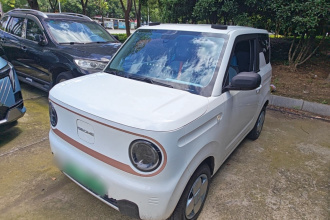 吉利银河 2024款 熊猫mini 200km 耐力熊