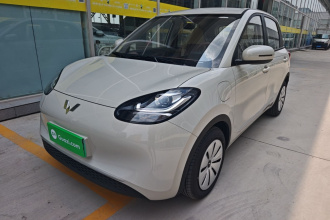 五菱汽车 五菱缤果 2025款 203km 轻享款