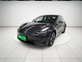 特斯拉 Model 3(进口) 2019款 长续航后驱版