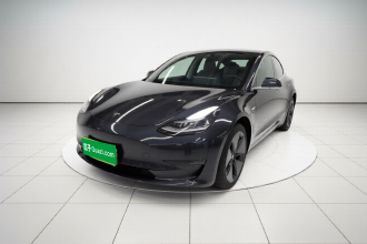 特斯拉 Model 3(进口) 2019款 长续航后驱版