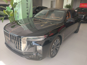 红旗H9 2024款 2.0T 旗享 私享风尚版