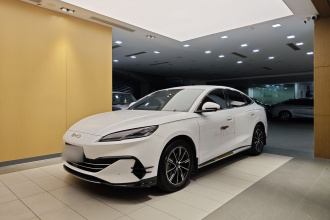 比亚迪 海豹06新能源 2024款 DM-i 80KM尊贵型