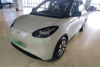 五菱汽车 五菱缤果 2024款 333km 悦享款