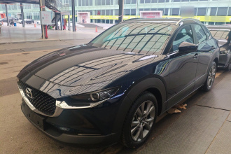 马自达CX-30 2020款 2.0L 自动嘉悦型