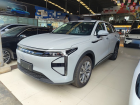 星途 瑶光C-DM 2025款 100长续航Plus两驱