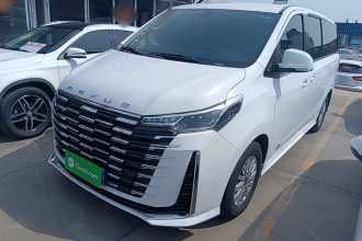 上汽大通MAXUS 大通G10 2025款 MAX 2.0T 自动行政版 汽油 7座