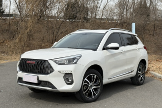哈弗H6 Coupe 2018款 红标 1.5T 自动两驱超豪型