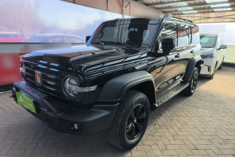 坦克300 2021款 越野版 2.0T 征服者