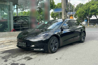 特斯拉 Model 3 2021款 标准续航后驱升级版 3D6