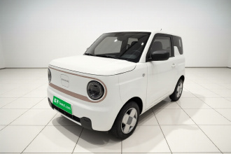 吉利银河 2024款 熊猫mini 200km 耐力熊