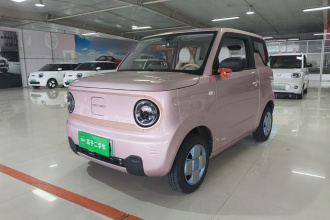 吉利银河 2024款 熊猫mini 200km 龙腾PRO版