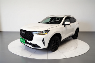 哈弗H6 2021款 第三代 2.0T 自动两驱Max