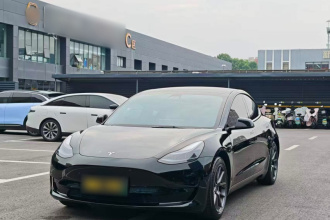 特斯拉 Model 3 2021款 标准续航后驱升级版 3D6