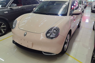 欧拉好猫 2021款 400km标准续航 维纳斯版 磷酸铁锂