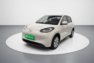 五菱汽车 五菱缤果 2024款 203km 轻享款
