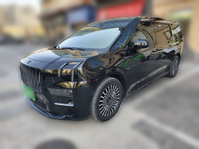 极氪009 2022款 改款 WE版