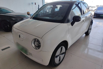 欧拉黑猫 2021款 301km 基础型