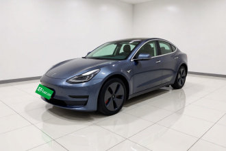 特斯拉 Model 3 2020款 改款 标准续航后驱升级版