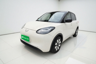 五菱汽车 五菱缤果 2023款 203km 舒享款