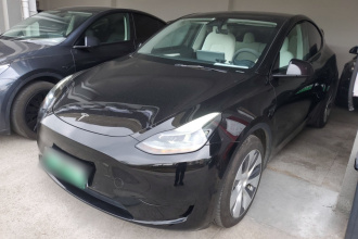 特斯拉 Model Y 2022款 后轮驱动版
