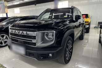 哈弗大狗 2024款 1.5T DCT边牧版