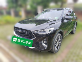 哈弗F7 2019款 1.5T 两驱i潮 国V