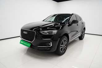 哈弗F5 2019款 国潮版 1.5T i型 国VI