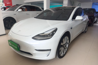 特斯拉 Model 3(进口) 2019款 长续航后驱版