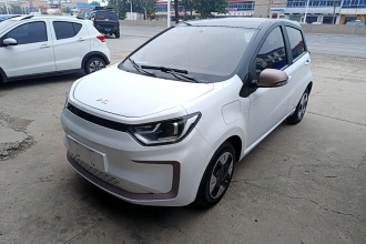 江淮钇为 钇为花仙子 2024款 挚爱版 301km Lite