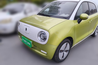 欧拉黑猫 2021款 301km 基础型