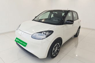 五菱汽车 五菱缤果 2023款 203km 轻享款