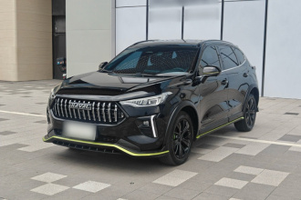 哈弗赤兔 2021款 激擎版 1.5T 铂金兔